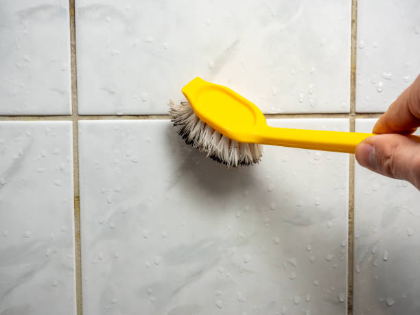 Water Damage Restoration in Tipton, IA