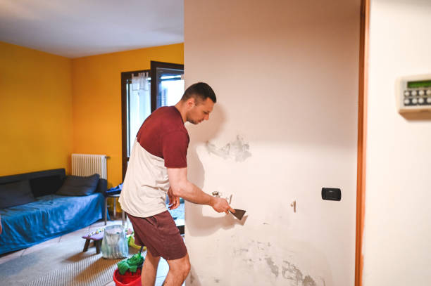 Best Toxic Mold Removal  in Tipton, IA